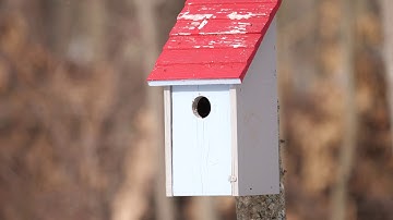 Panasonic G9 Image Stabilization Test Video - Electronic IS Off