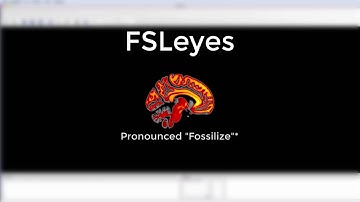 Using FSLeyes, Part 1: Display and View Functions