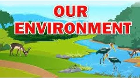 Class 3 EVS || Chapter no. 1- Our Environment Part- 2 || Maharashtra State Board