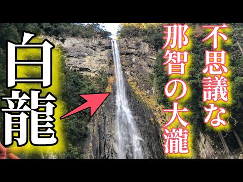 ⚠️神回※白龍神様のサイン⚠️那智の滝・飛瀧神社⚠️選ばれた者しかたどり着けない動画⛩️ コメント欄にお願い事を書いてください⛩️ #飛瀧神社 #那智の滝 #白龍
