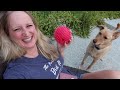 End of video