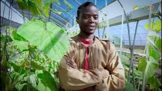 Learn and teach agriculture, with Elidio Cuamba - Gapi - EN
