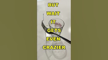 How to Balance Forks on a toothpick