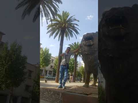 صور جميلة من شارع حسن الثا ني عاصمة العلم فاس