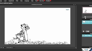 Using Zoom in Pixlr Editor
