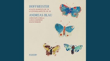 Flute Quartet in D Major, Op. 18 No. 2: III. Allegro molto