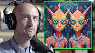 Why Everyone Sees Machine Elves When Tripping on DMT | Andrew Gallimore screenshot 5