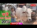 Bhai Koto Nilo 2026 | Hozrotpur Cattle Market | Qurbani Cow Price 2026 | Gorur Haat Update | Part-1