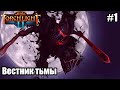 Torchlight 2+Sinergy mod Вестник Тьмы. Берсерк.  Охота+Тьма .Мастер. стрим #1