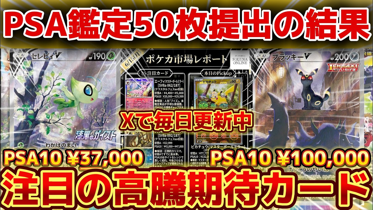ポケカ高騰】PSA鑑定50枚提出の結果がヤバイ！注目の高騰期待カード