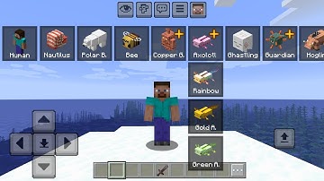 Morph X Mod Para Minecraft PE/Bedrock 1.21 - Addons For MCPE!