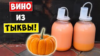 ВИНО из ТЫКВЫ! Очень Вкусное Вино!!! Простой Рецепт / Pumpkin Wine