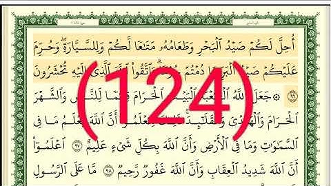 سورة  المائدة رقم الصفحة 124 مجود بصوت القارئ الشيخ أيمن سويد حفظه الله
