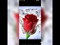 هاني شاكر كل سنة وانت طيب هاني شاكر كل سنة وانت طيب