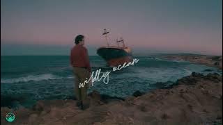 Wildly Ocean (Featuring Harrison Ford for Conservation International)