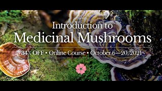 Intro to Medicinal Mushrooms - Online Course