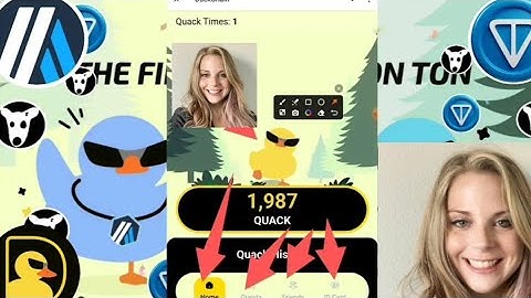 DuckChain New Airdrop L2 Ton❗New users get 5 free mint NFT = coin Duck