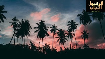 تلاوة مميزة وهادئة تريح النفس وتهدئ الأعصاب❤️ سورة التوبة ❤️