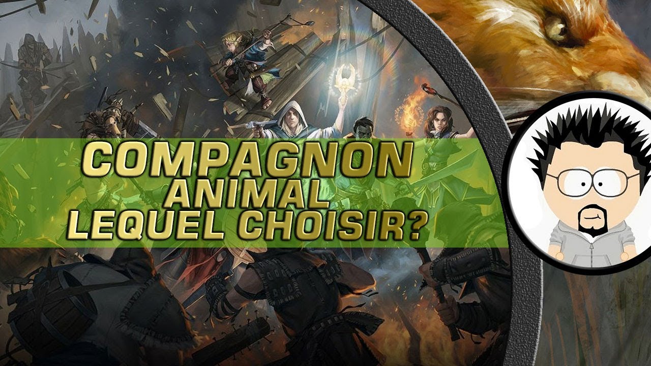 FR Pathfinder kingmaker Quel compagnon animal choisir ? - YouTube