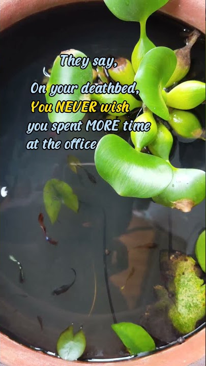 life is #short and you never wish you spent more time at the office