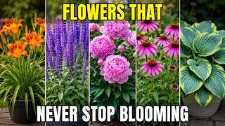 Plant These 9 Perennials Once And Never Start Over Again