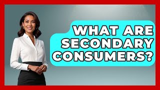 What Are Secondary Consumers? - Earth Science Answers