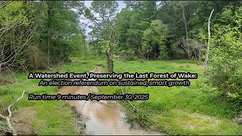 The Last Forest of Wake