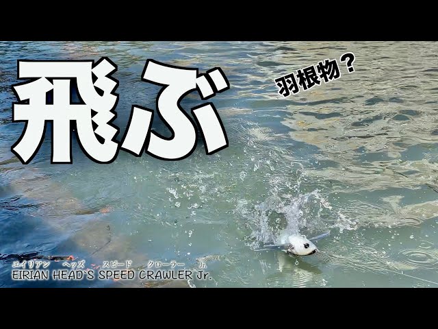 首振りエイリアン❤️ sddefault.jpg