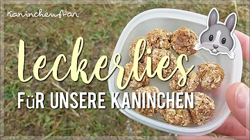 Was sind Leckerlis für Kaninchen?