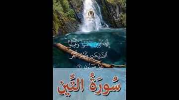 سورة التين / عثمان الحبسي / يحاكي مشاهير الحرم المكي