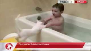Коты бесполезны при спасении на воде Коты бесполезны при спасении на воде