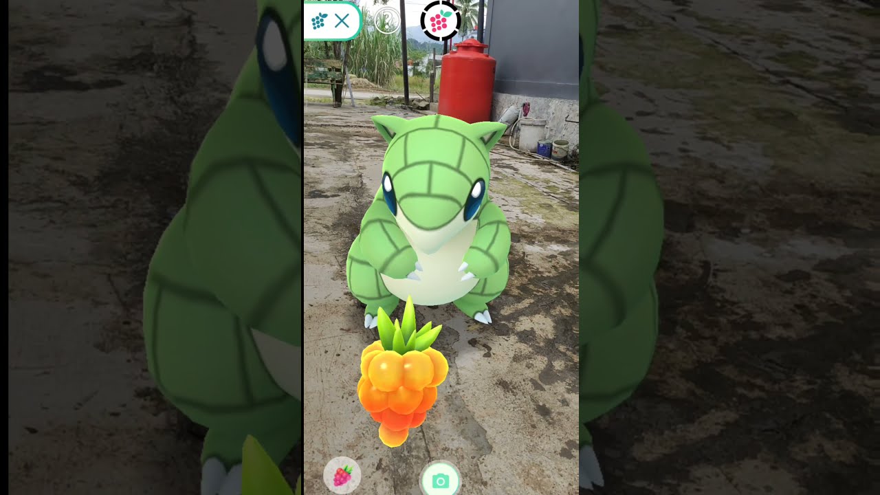 Shiny Sandshrew evolving to sandslash metaverse game pokemon go 