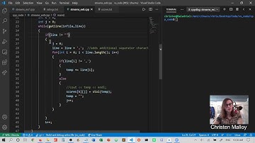 File I/O: parsing values into 2D Array