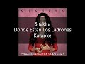 Shakira Dónde Están Los Ladrones Karaoke