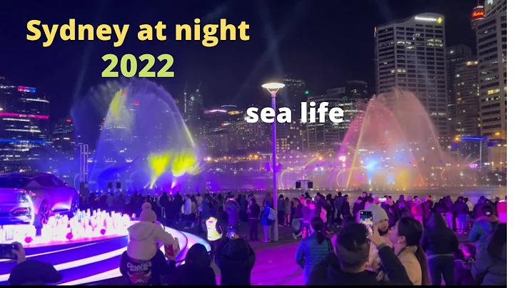 Sydney city at night 2022 sea life// Sydney ve dem