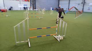 20171119 RONCHIN FABRICE LUNA GRADE 2