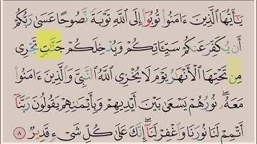 سورة التحريم ايه ٨ مكرره ١٠ مرات بصوت الشيخ علي الحذيفي