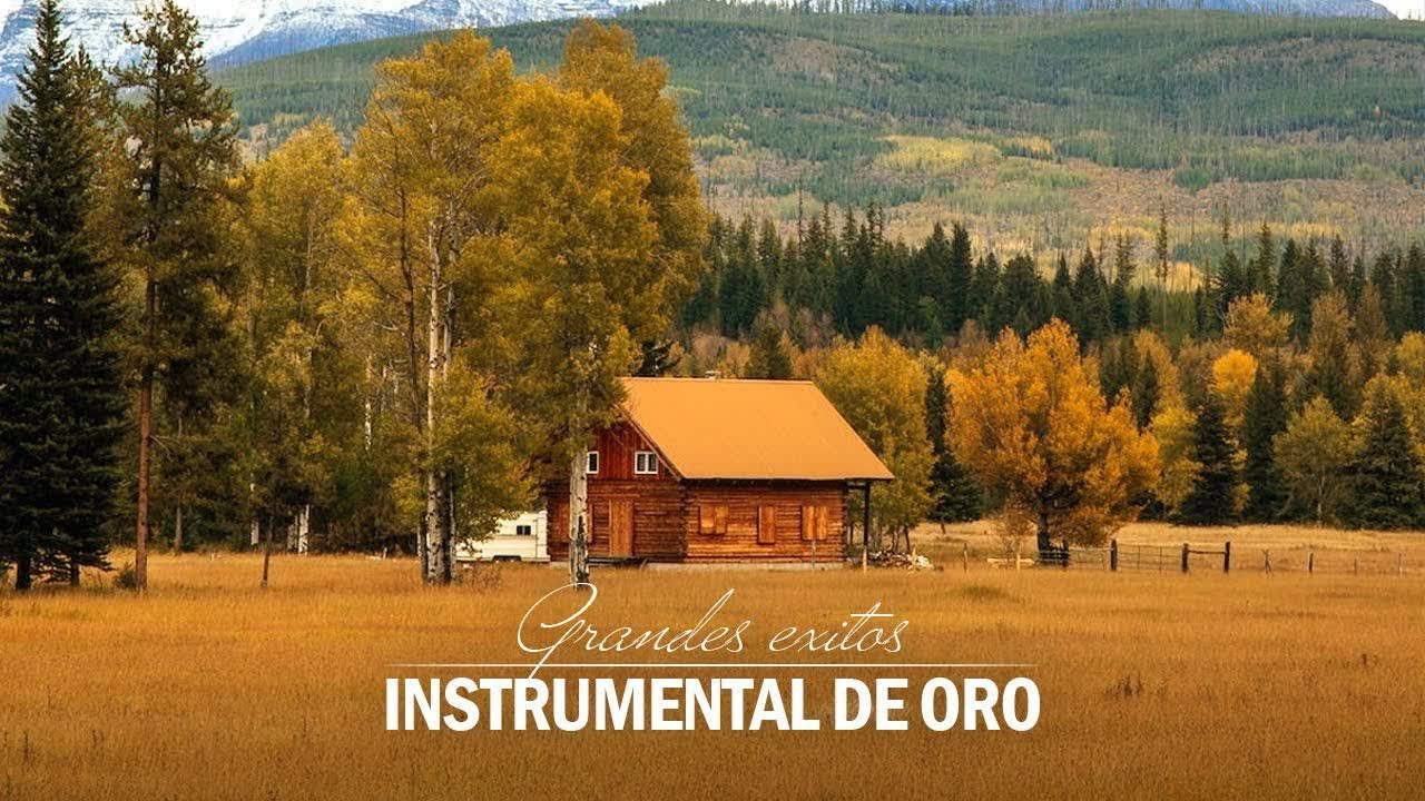 CLASICOS DE LOS 80's - Musica Instrumental de los 80 - Grandes exitos ...