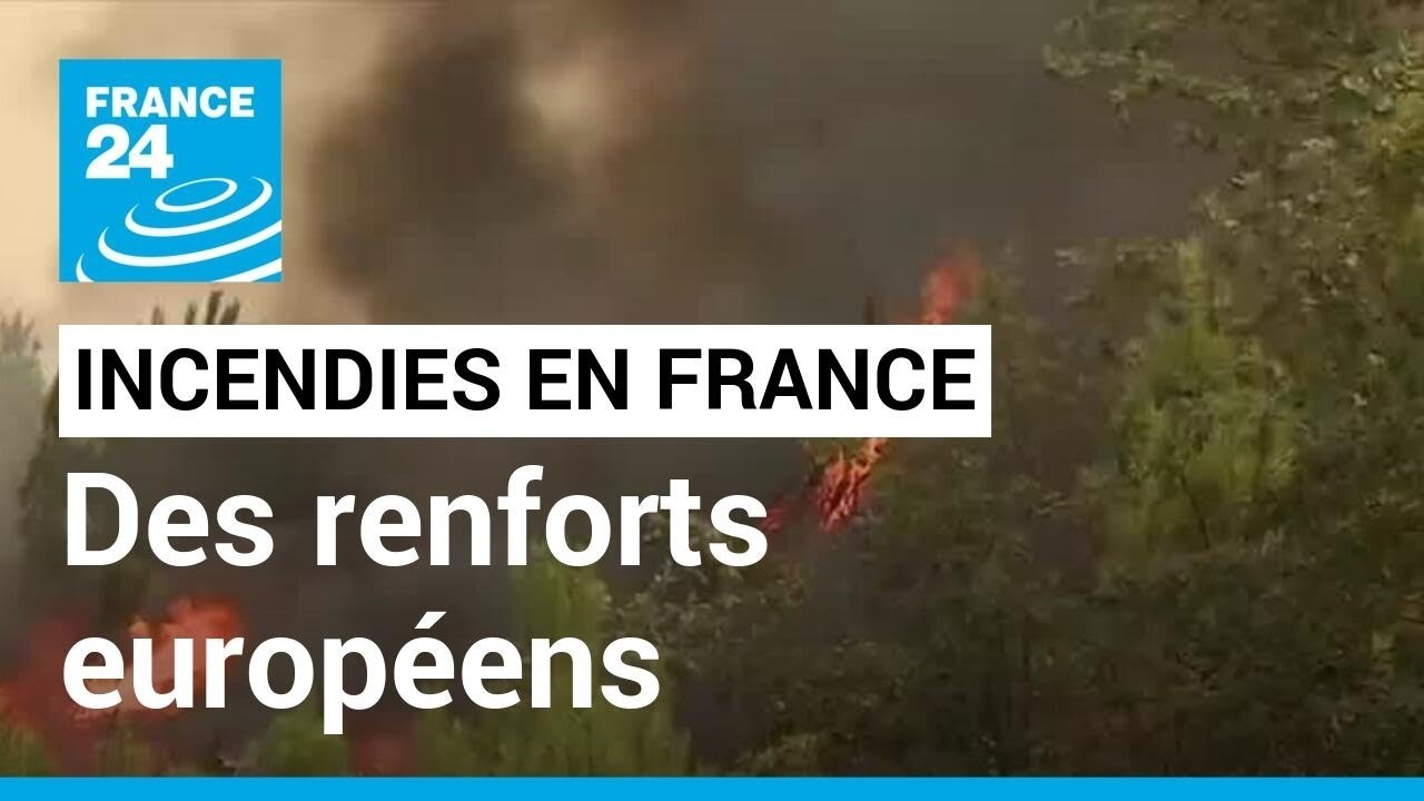 Incendies en Gironde : des renforts européens contre les feux qui se multiplient • FRANCE 24
