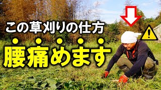 【要注意‼︎】腰を痛めない農作業のしかた