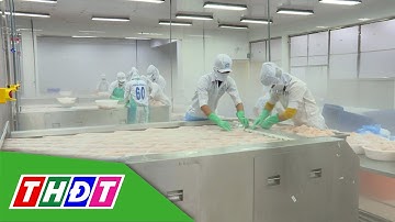 Xuất khẩu thủy sản có thể đạt 11 tỷ USD trong năm nay | THDT