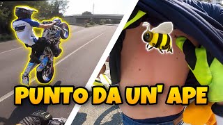 Impariamo A Grattare Giro Ignorante