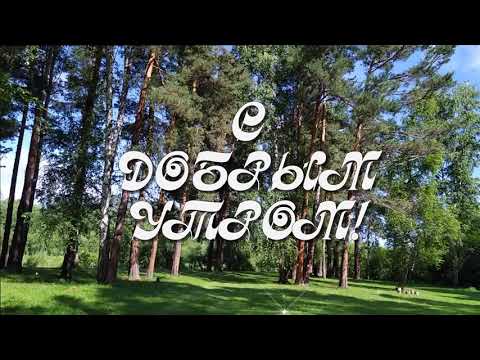 С Добрым утром!❤️ Открой свое сердце новому дню, улыбнись...❤️Good morning!❤️