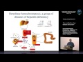 K. Pantopoulos - Iron metabolism, liver disease and cancer Mp3 Song