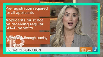 Pre-registration for disaster SNAP benefits begins Monday for counties hardest hit by Ian