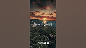 بديع السماوات والأرض أنى يكون له ولد ولم تكن له صاحبه | سورة الأنعام | خالد الحوسني