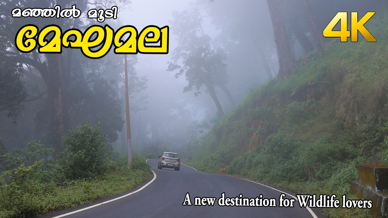 മഞ്ഞിൽമൂടി മേഘമല !!! 4K