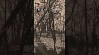 Ukrainian Special Operations Forces Captured 8 Russian Soldiers At Once In Kursk Region Of Russia