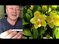 НОВЫЕ ОРХИДЕИ из КРАСНОДАРА распаковка посылки и обзор ТРИ орхидеи