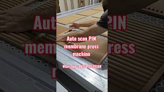 Demonstration of the complete workflow of the automatic laser scanning PIN worktable